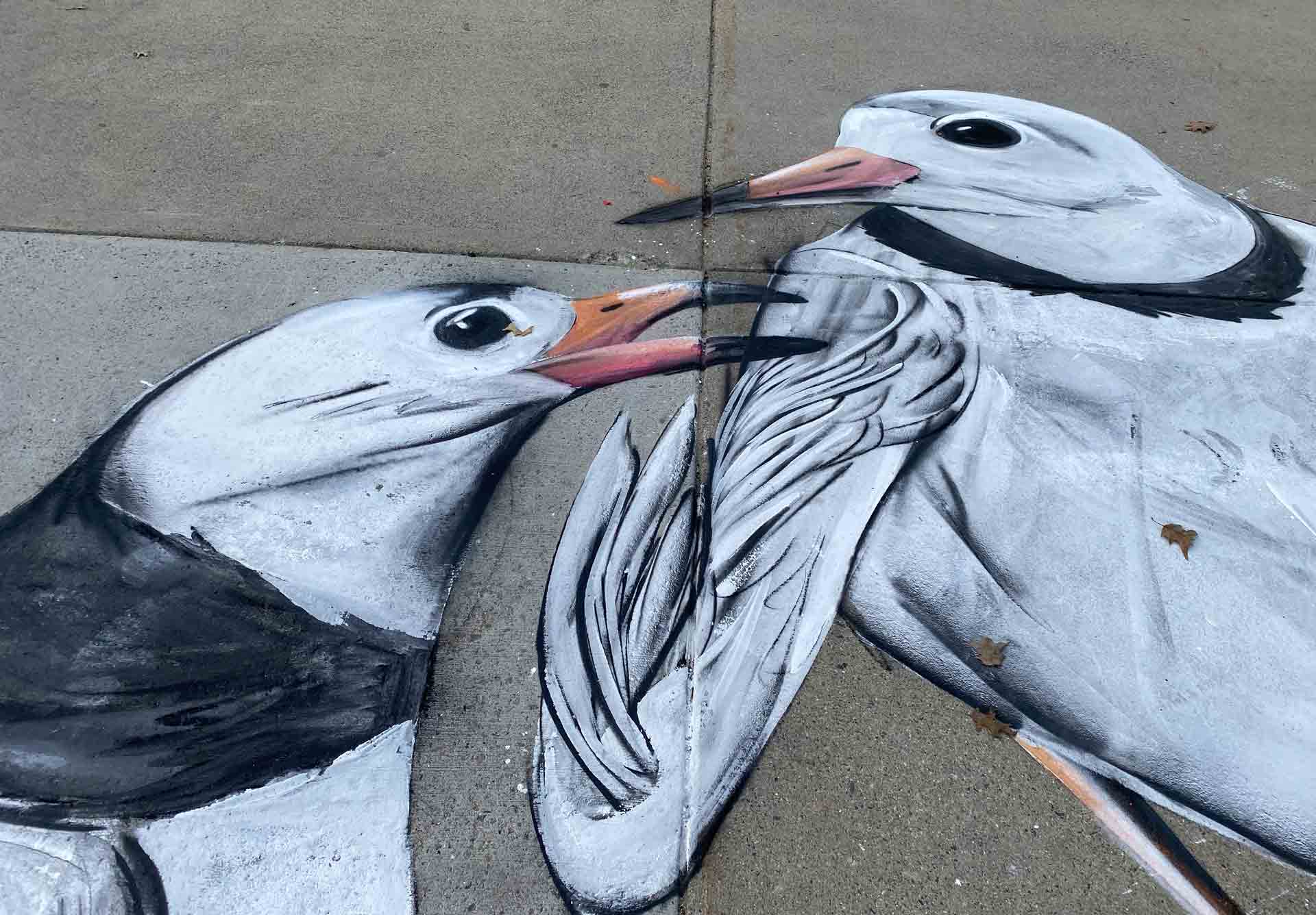 Ortiz_details-of-birds_3 Felipe Ortiz mural