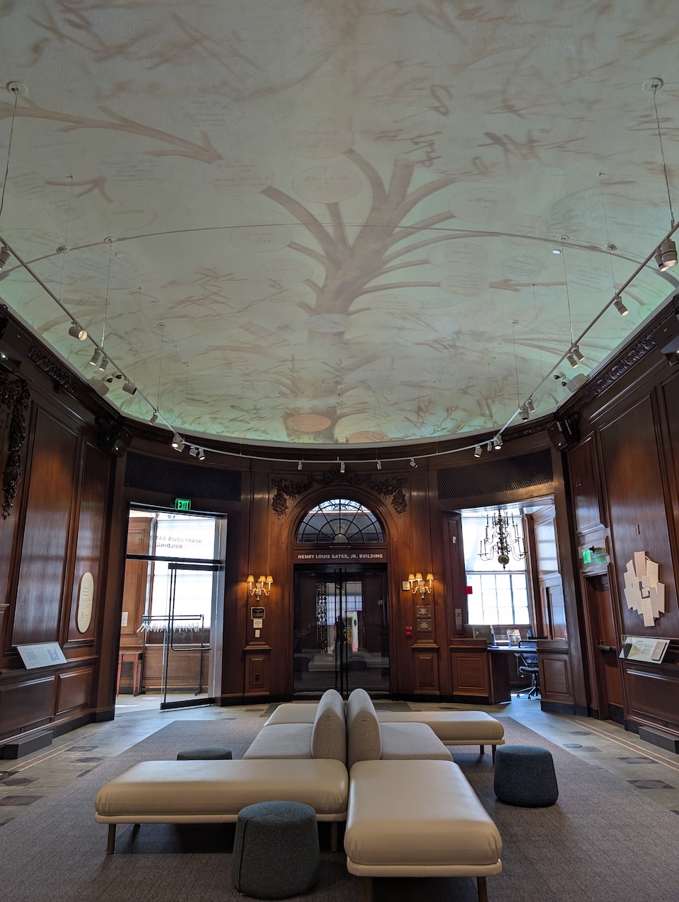 rotunda ceiling Old wood paneled traditional library space with a projection mapped display on the entire ceiling.